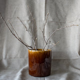 Brown Ceramic Pot