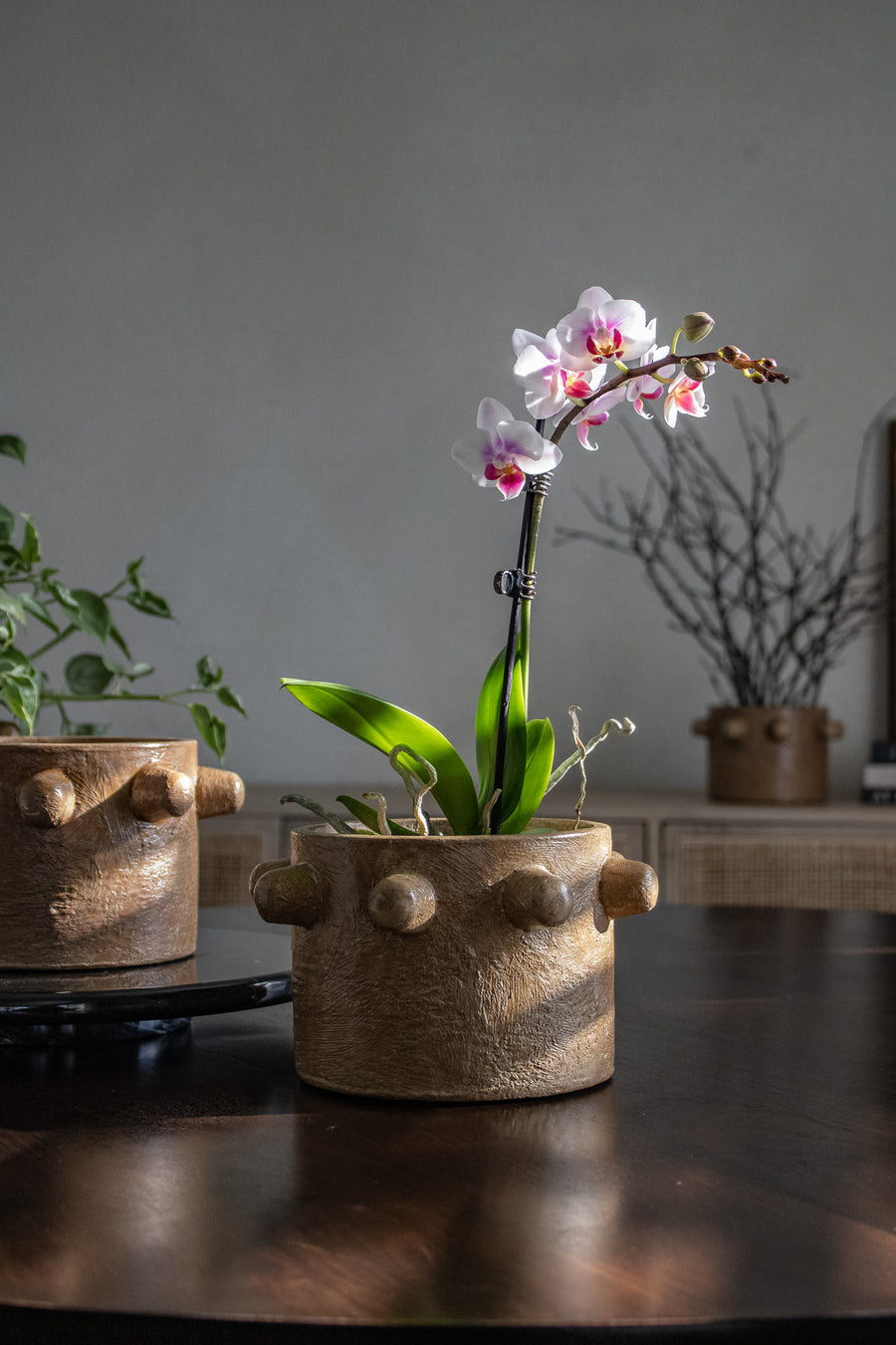 cement plant pots for sale Handcrafted Maya Cement Planter Pot – Casa Refined Shop